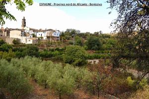061- Benissiva
